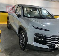 جيتور داشينج